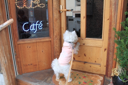 カフェの入り口と犬