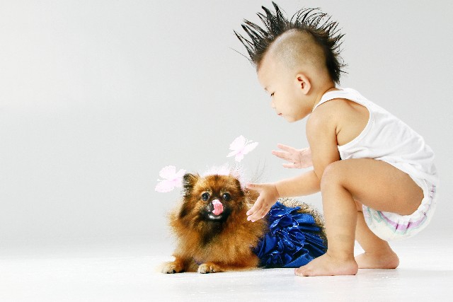 子供と犬