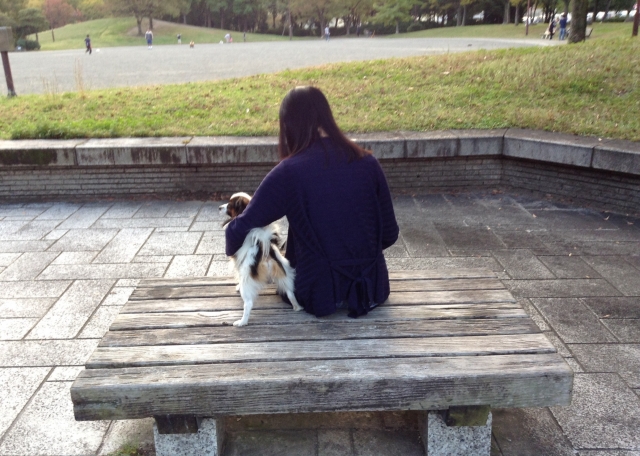 人と仲良く座る犬