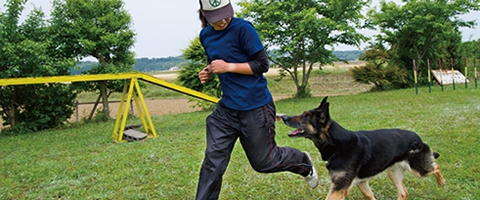警察犬訓練士 の仕事内容と資格を取るには 向いてる人の素質 わんちゃんホンポ