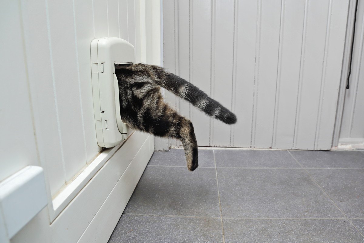 暖め過ぎは要注意！猫に絶対しちゃダメな『暖房器具』の使い方5つ