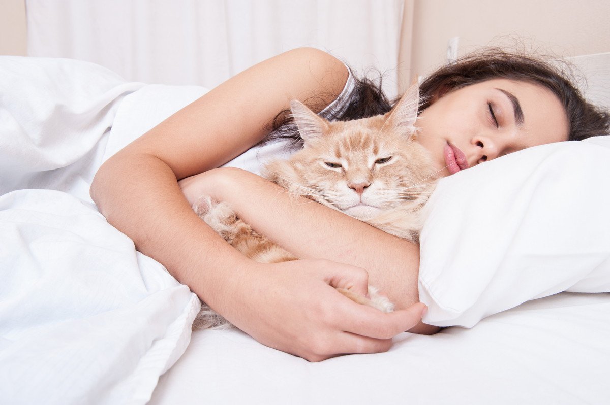 猫が腕で眠るのはなぜ？4つの意味
