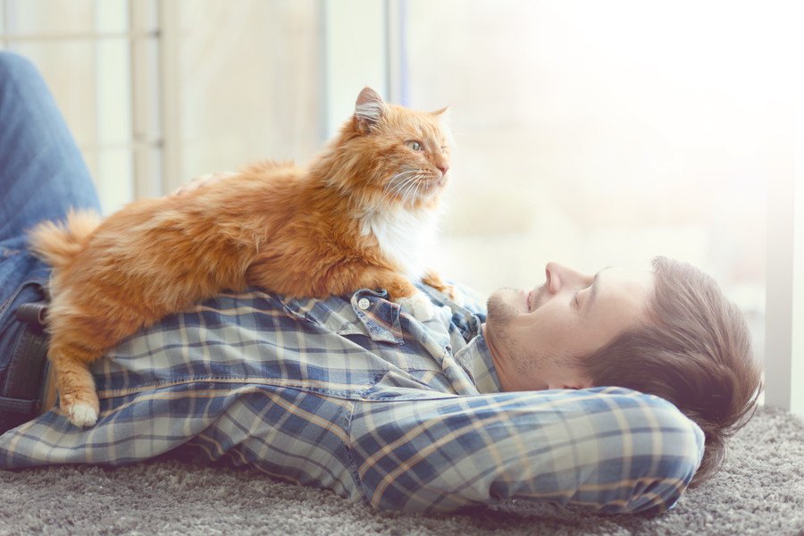 猫が態度で伝えている『感謝の気持ち』4選！何気ない行動にメッセージが隠されているかも？