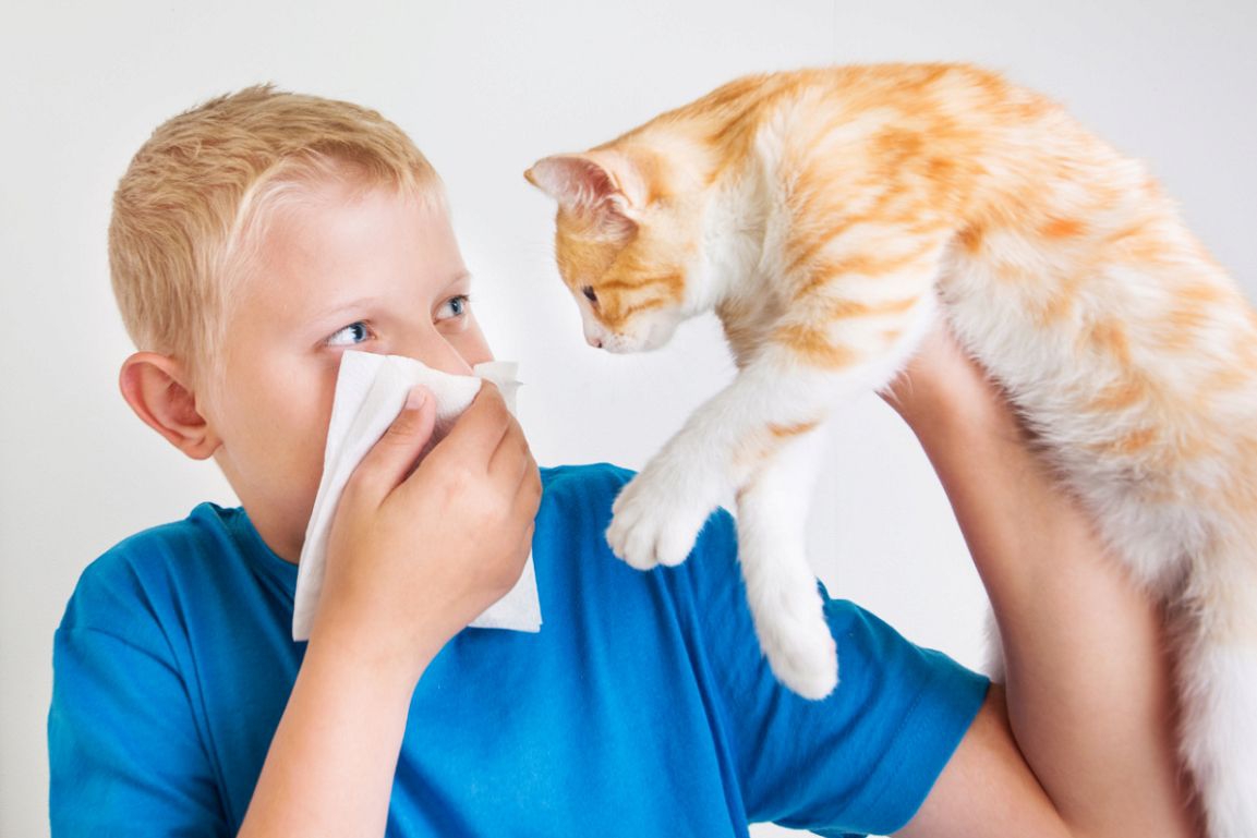猫のお尻が臭い原因と肛門腺の対処方法