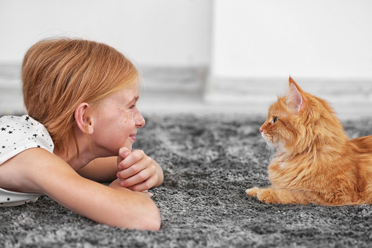 子どもと猫の健康のために！子どもがいる家庭で猫を飼う際の注意点