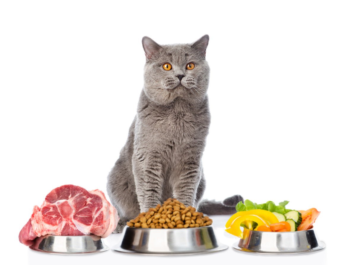 猫に『絶対禁止の食材』6つ！ジャンル別に危険な理由を徹底解説
