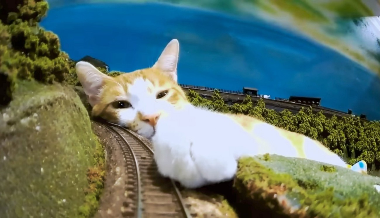 列車が走る先には…猫！？ジオラマとのコラボで見えた猫の新たな魅力が『待ち構えてるの可愛すぎw』『期待を裏切らないドキドキ感！』と大好評