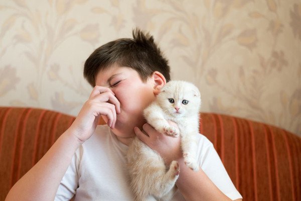 猫を急に臭いと感じる原因4つ！気をつけたい症状と対処法