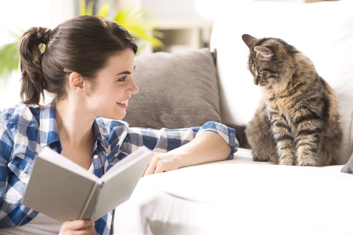 猫が『教えてくれたこと』ランキングTOP4！猫と暮らしたからわかったこととは？
