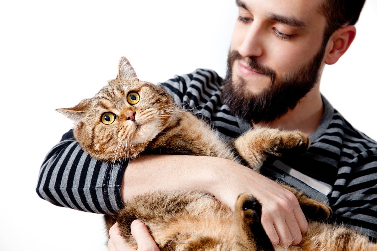 猫に飼い主がしがちな『余計なお世話』4つ　ストレスを与えない適切な方法を解説