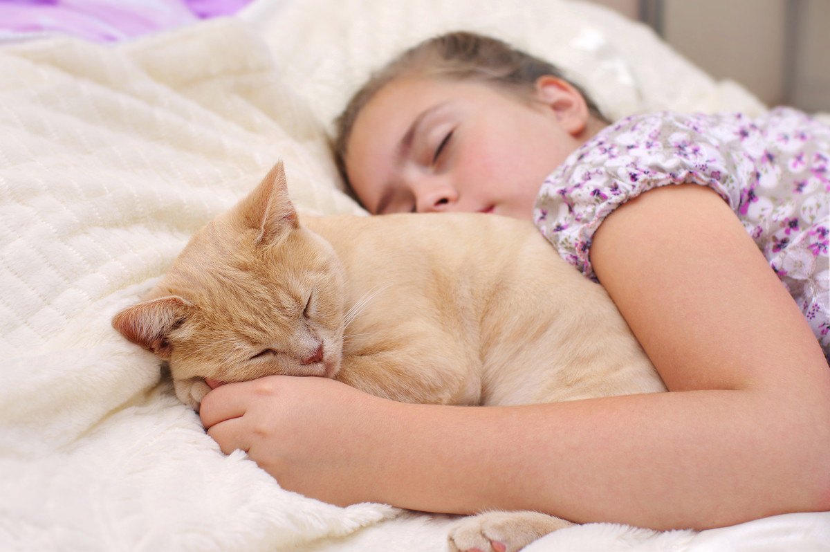 猫が『一緒に寝たい人・寝たくない人』の特徴3つ