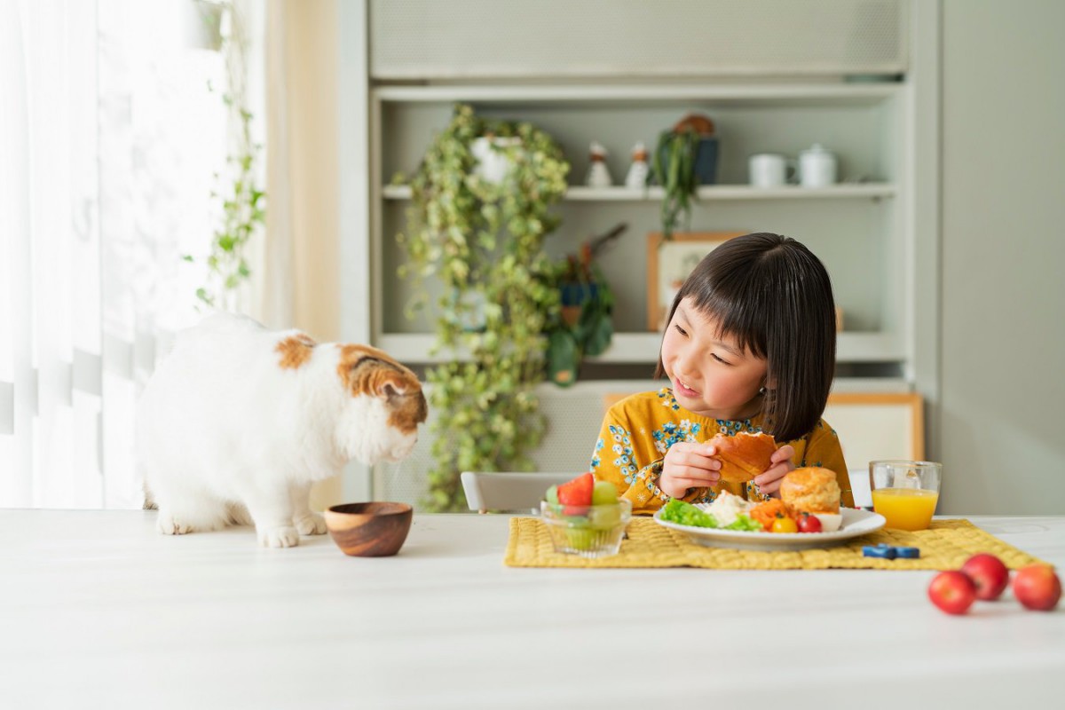 猫にとって『消化しにくい食べ物』4選
