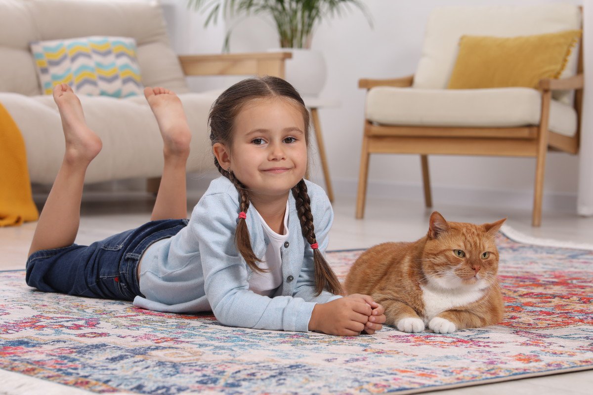 【ペットケアアドバイザー解説】子育て中の家で猫にストレスをかけないためにできること