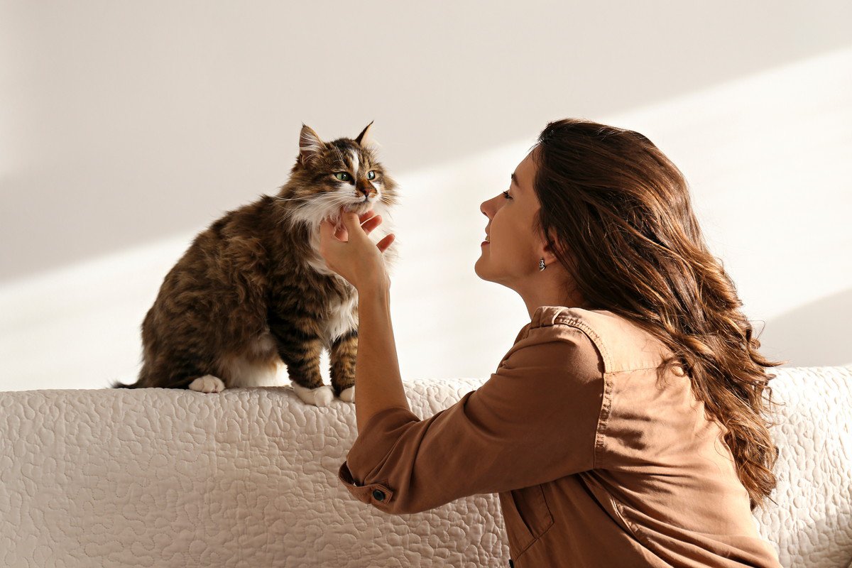 猫があなたに「心を許している」サイン5選　こんな姿が見られたらあなたは愛猫の特別な人？