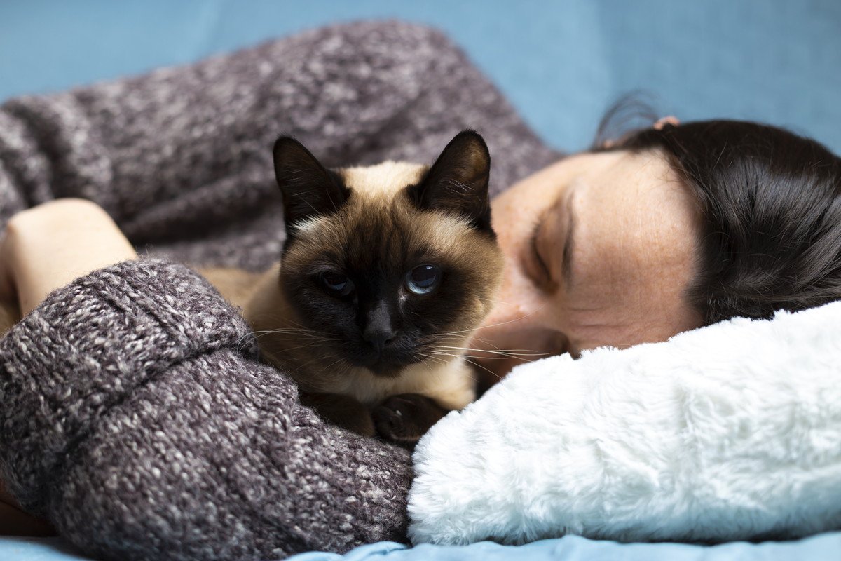 猫との『添い寝』で守るべきマナーとは？4つのポイント