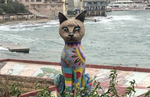 猫の楽園マルタ島をリポート！ネコと出会えるおすすめのスポットをご紹介