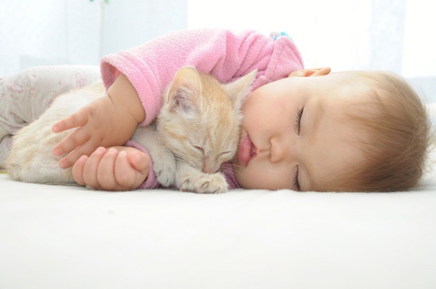 猫と人間の赤ちゃんを仲良く育てる方法と気をつけるポイント