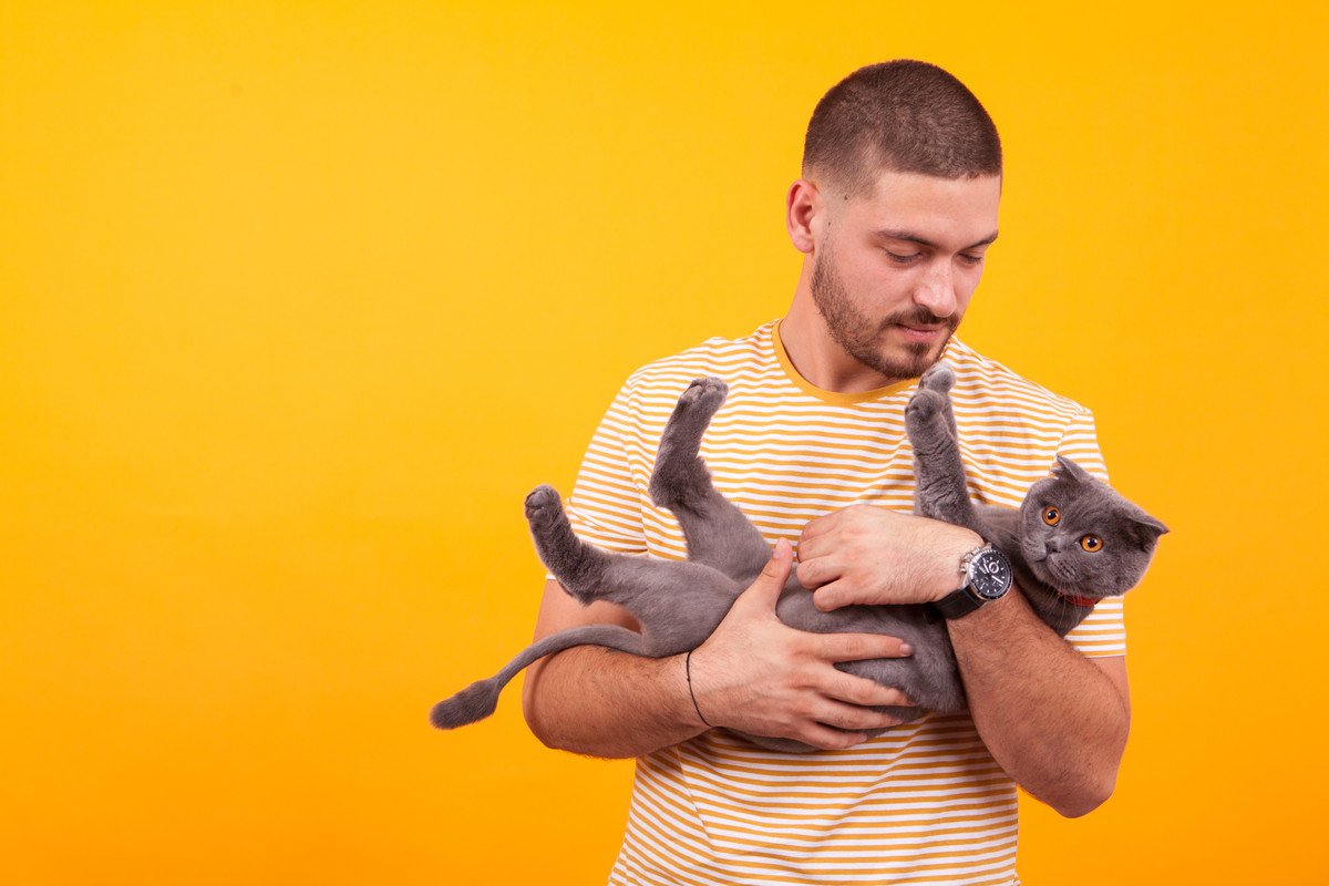 猫が『抱っこ』すると暴れる！4つの原因と対策