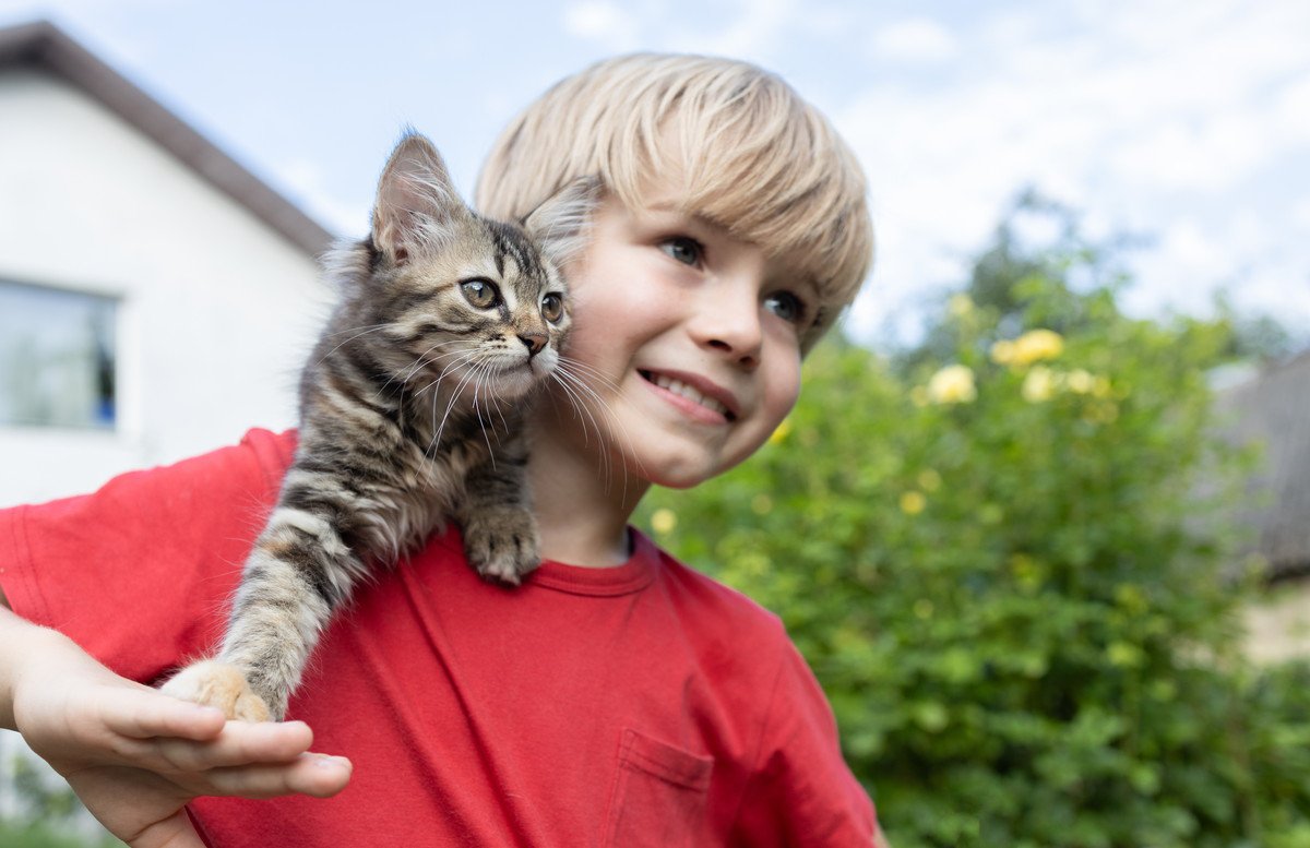 「猫を飼いたい！」子供のおねだり、親はどうする？迎える前に考慮すべき5つのポイント