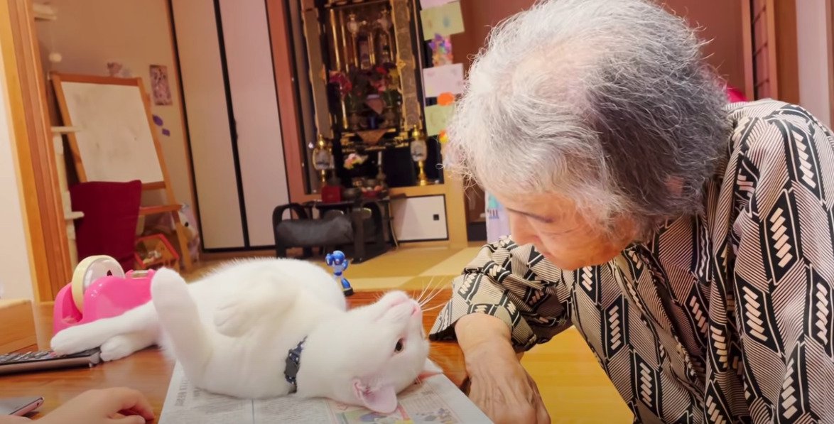 見つめ合う二人！猫とおばあちゃんの可愛さに癒される人続出「穏やかでなごみますね」「とっても素敵な光景」