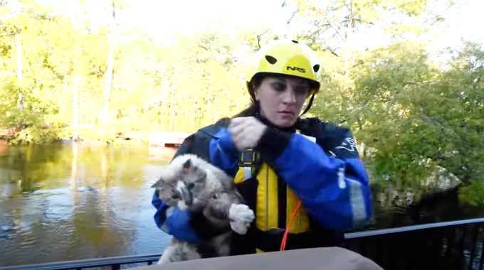 洪水で取り残されたペット猫たち…救助活動で見えた課題とは？