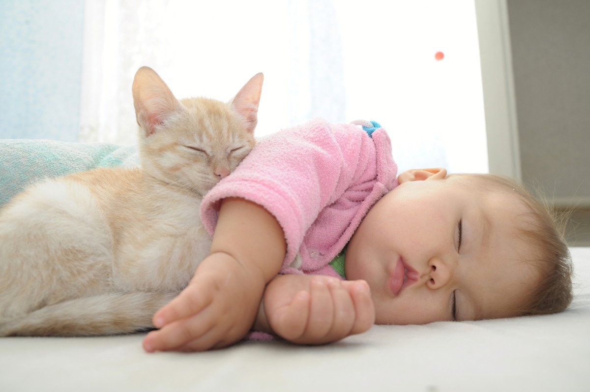 猫が『人間の赤ちゃん』にとる意外な行動3つ！皆が快適に過ごすために気を付けるべきこと