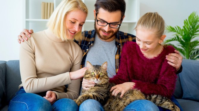猫の態度でわかる『家族の順位づけ』…3つの行動の違いを徹底解説！