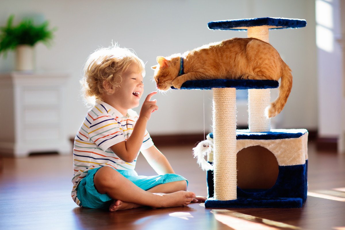 猫と子どもは相性が悪いって本当？猫と子どもが仲良くなる４つのコツ