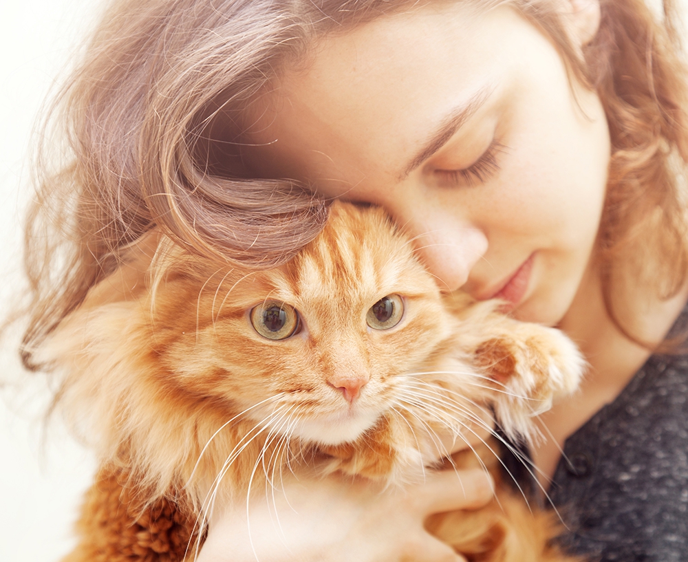 猫との信頼関係を深める5つの方法