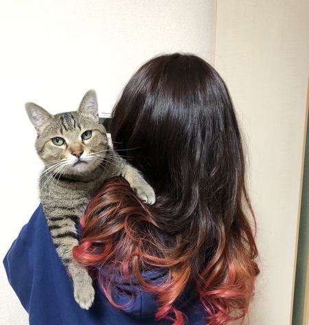 猫が人の髪の毛をなめる３つの理由