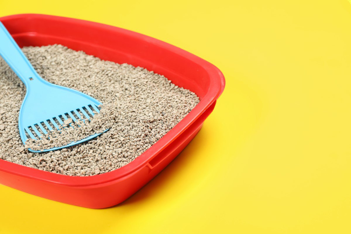 猫砂の正しい捨て方とは？種類別の処分方法と注意点をご紹介