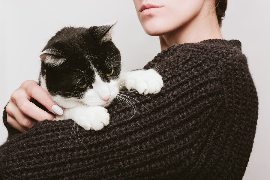 猫の「抱っこ」で注意するべきこと３つ