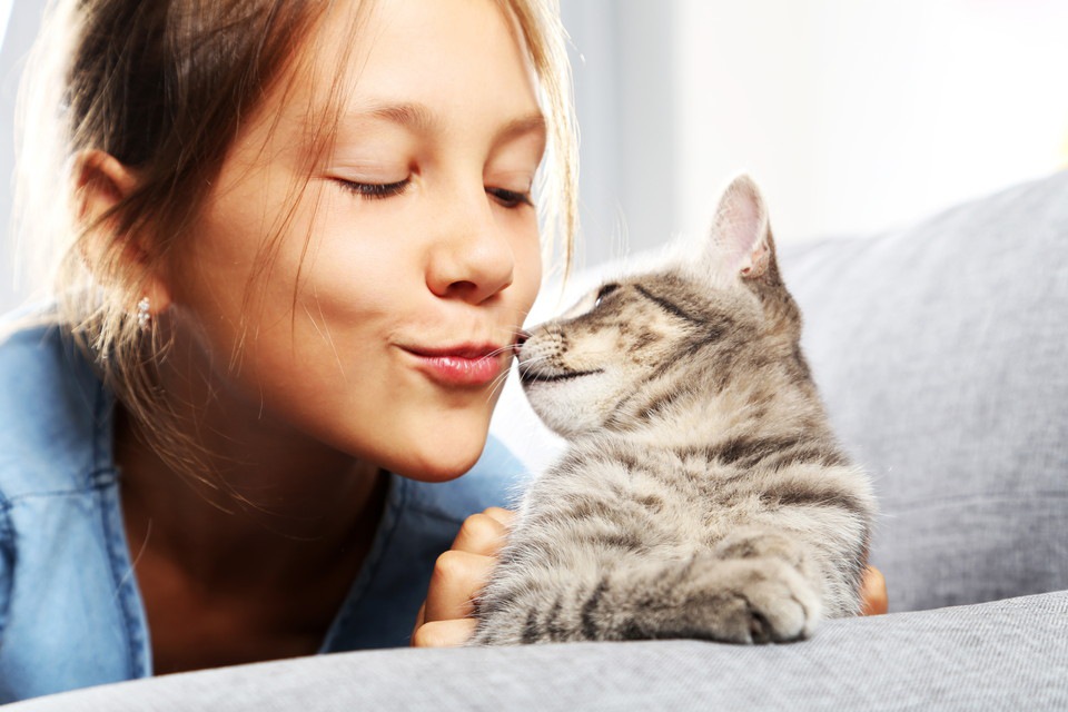 猫が鼻キスをする意味やその時の注意点