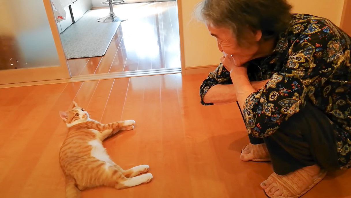 『猫と93歳おばあちゃん』の不思議な関係に心温まる…小さい時からの記録に「ほのぼのしてて素敵」「いい関係だね」の声