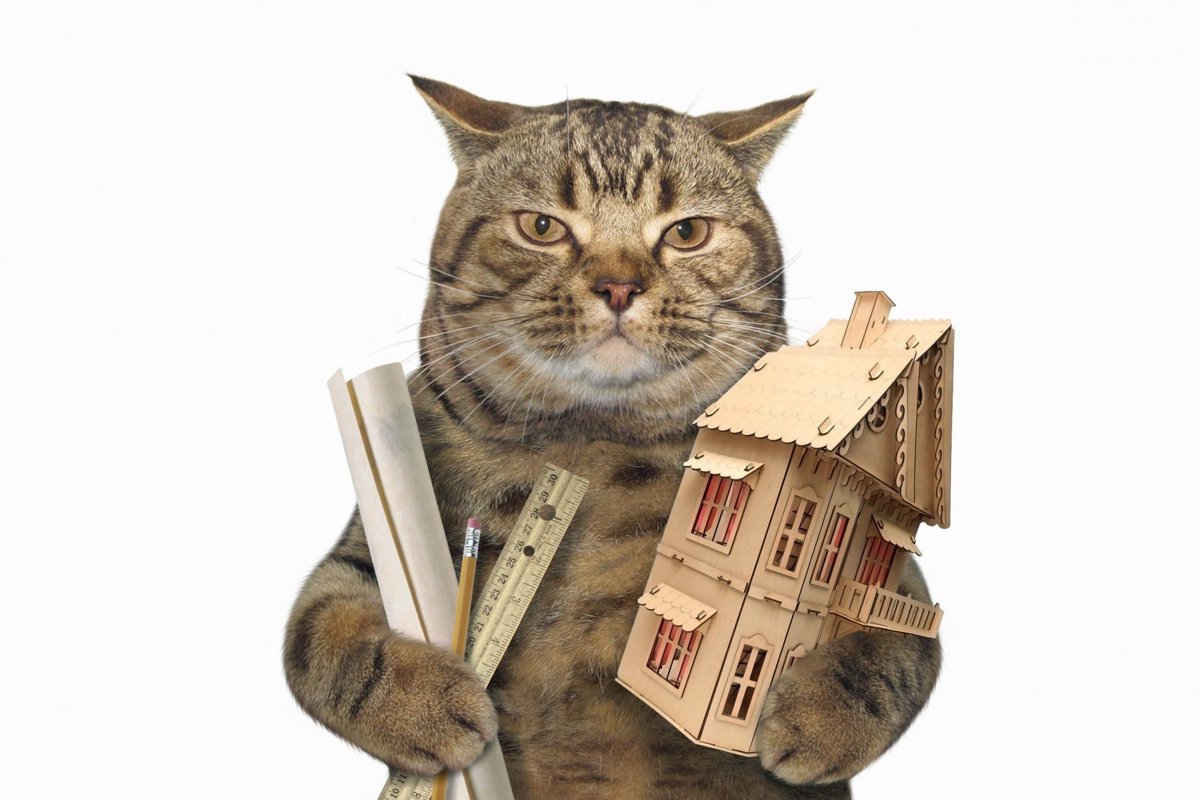 はじめての猫小屋DIY！キャットハウスを手作りする３つの方法
