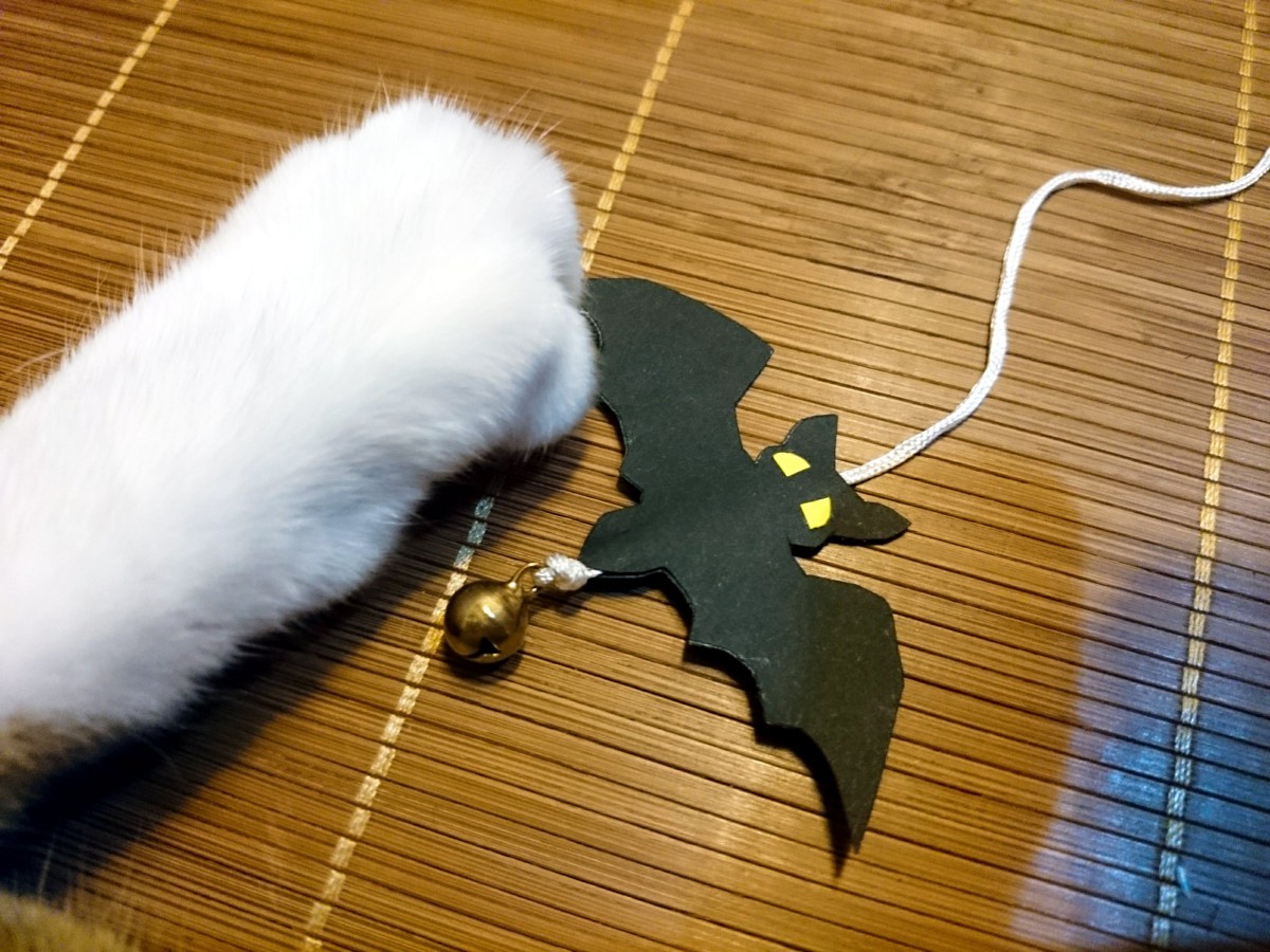 魔女猫に大変身♪ハロウィンで使える猫用帽子を手作りしてみよう！