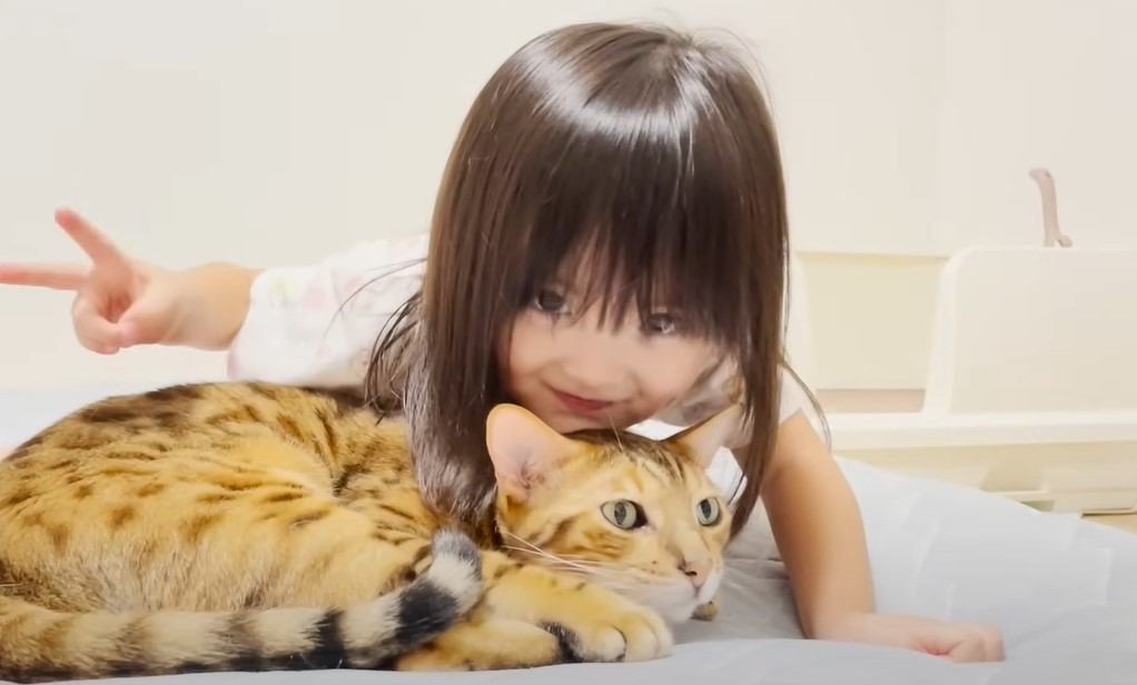 噛みつきベンガル猫はお姉ちゃん気取りの妹分に優しくできる？→検証してみた結果…「かなり賢い子」「対応の違いに笑った」