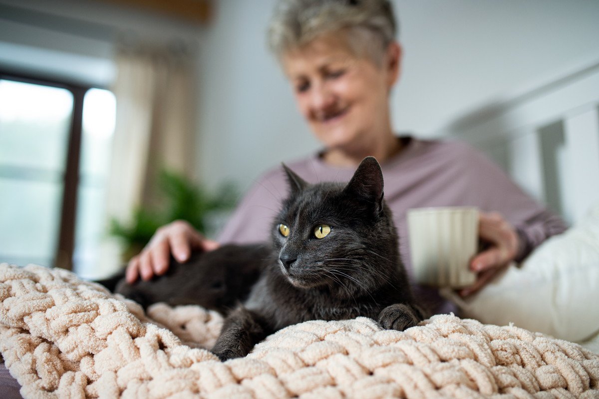 猫からも人にうつるトキソプラズマ症は「高齢者を虚弱にする」　米国の研究