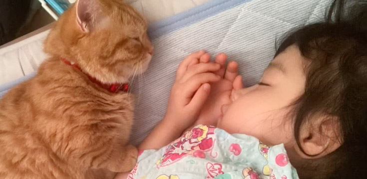 猫と少女が一緒に寝ている姿が尊すぎ……幸せ溢れる光景に悶絶する人続出 『少し泣けてきた』『あまりの可愛さに呼吸困難』の声