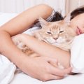 猫が飼い主の『近くで眠らない』のはなぜ？考えられる理由とそばで眠…