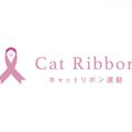 乳がんで苦しむ猫をゼロにする『キャットリボン運動』って知ってる？