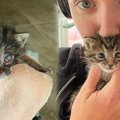 病弱で母猫に捨てられた子猫…奇跡の変身を遂げた姿に感涙！