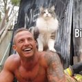 オーストラリアの ”消防士カレンダー” に天才にゃんずが登場！
