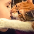猫が飼い主の顔を噛んでくる５つの理由