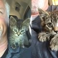 道路に接着剤で固められた子猫…発見した男性が取った行動は？