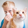 猫アレルギーが出る猫と出ない猫の違いは？対策や注意点まで