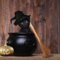 ハロウィンの仮装は黒猫がかわいい！おすすめな商品5選！