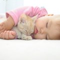 飼い主と『一緒に寝たがる』愛猫の心理と一緒に寝る時の注意事項