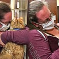 森林火災で飼い主とはぐれた猫…奇跡の再会に感動の涙