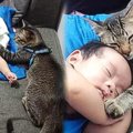 人間の赤ちゃんに寄り添う猫…その胸を打つ理由に感涙